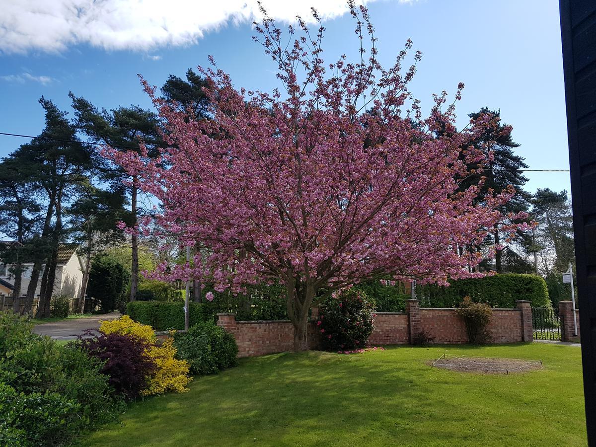 Leeward Bed & Breakfast South Walsham Exteriör bild